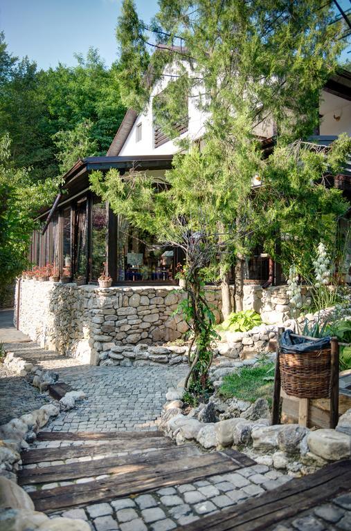 Pensiune-Restaurant Tara Luanei Сэрата-Монтеору Экстерьер фото